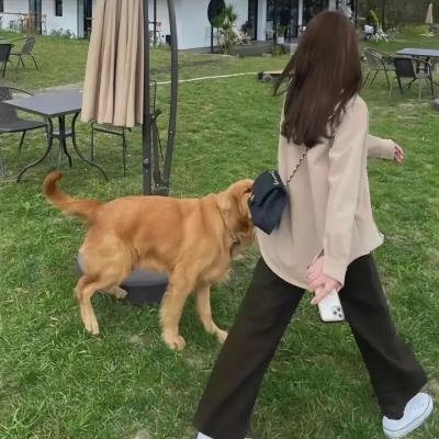 西口情歌